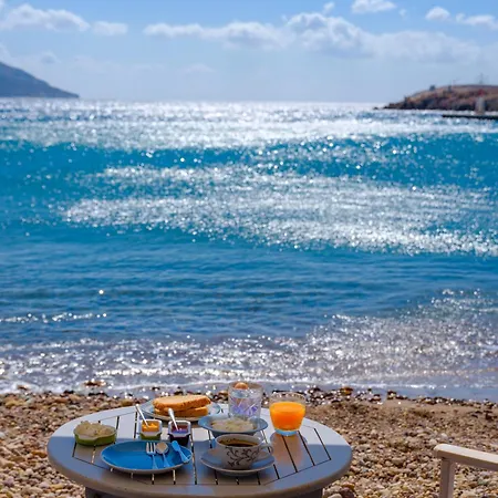 Echinousa Maisonette No1